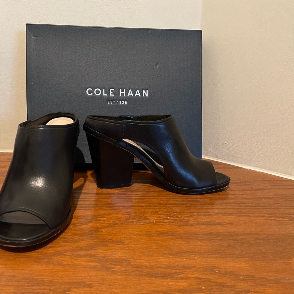 Cole Haan Hollis Sandal in Black